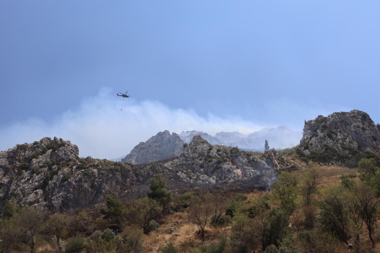 Hatay'da orman yangını