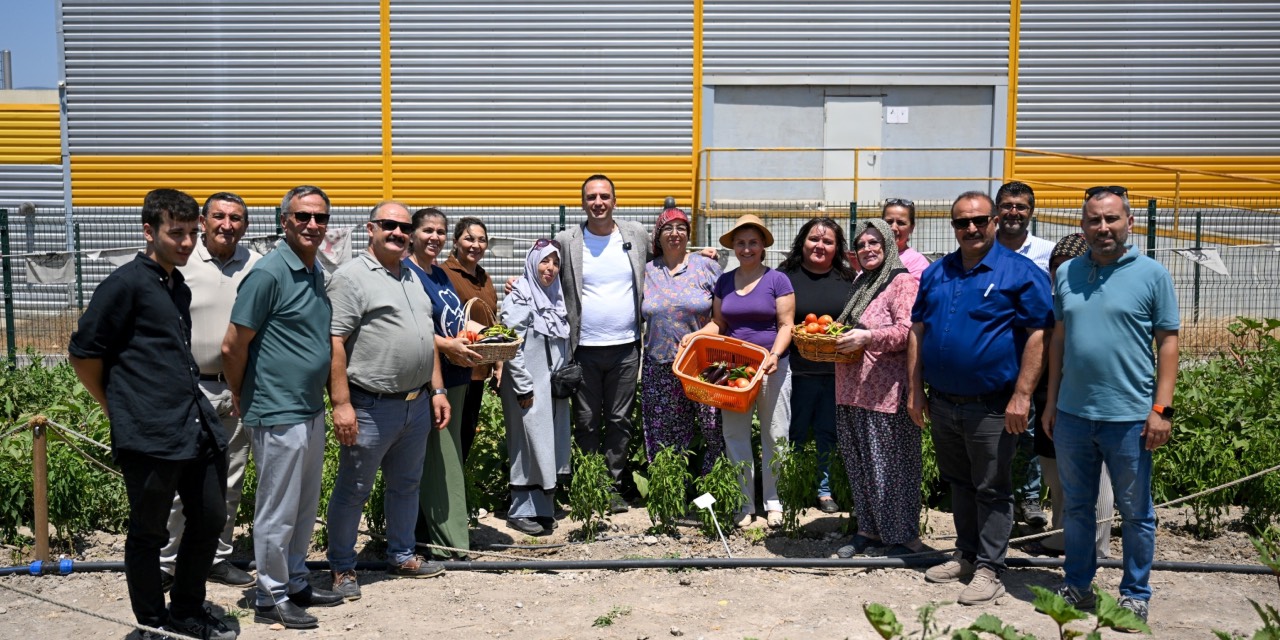Bornova’da kent bostanlarında yazlık sebze hasadı gerçekleştirildi