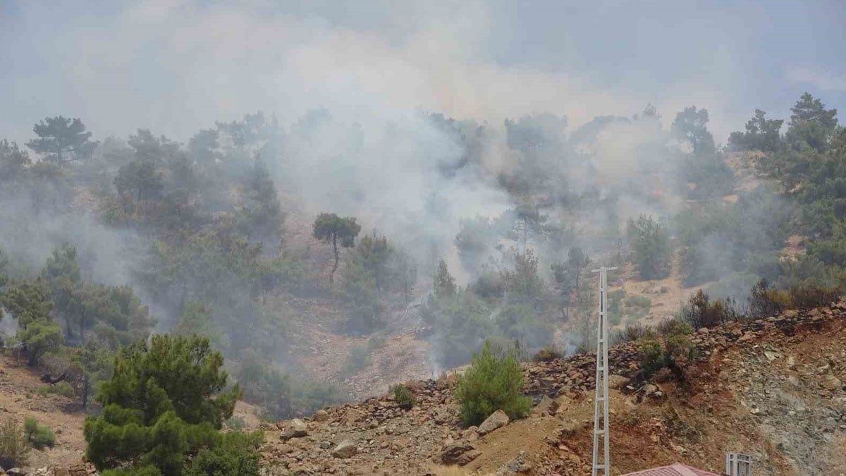 Adıyaman'da orman yangını