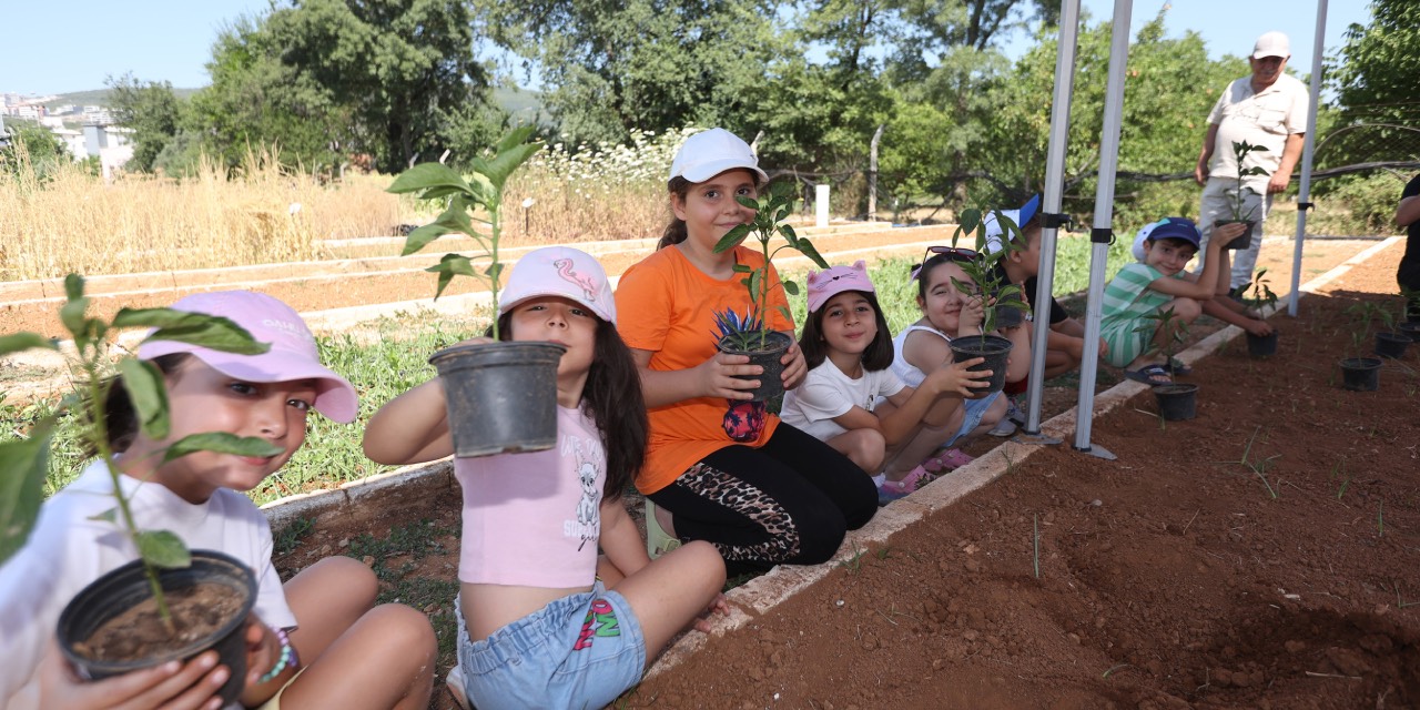 Muğla’da çocuklara yerel tohum eğitimi