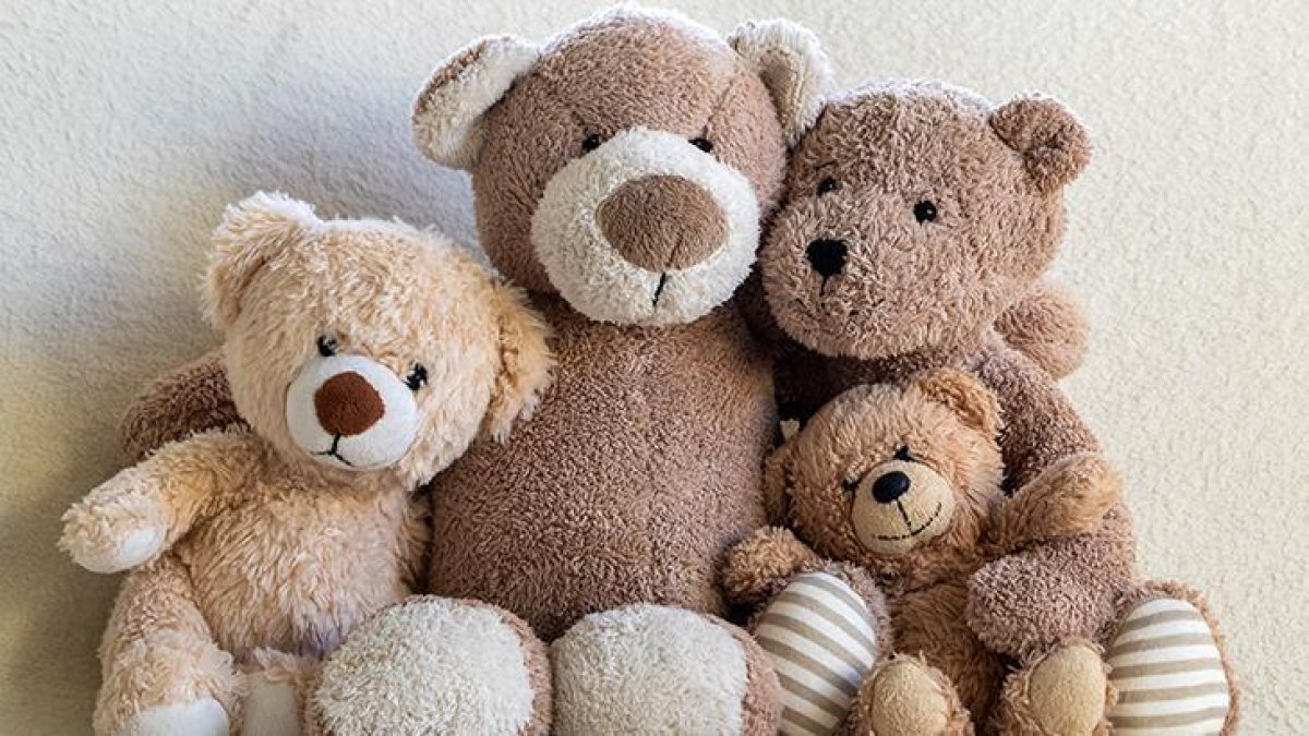 Kaliforniya’da ‘insan derili’ oyuncak ayı paniği: Seri katil sanıldı, sanat eseri çıktı