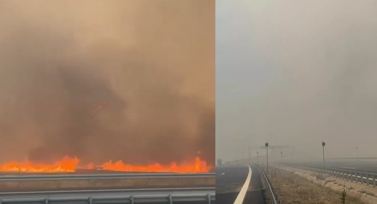 Tekirdağ ve Çanakkale'de yangın kabusu: Alevler otoyola ulaştı