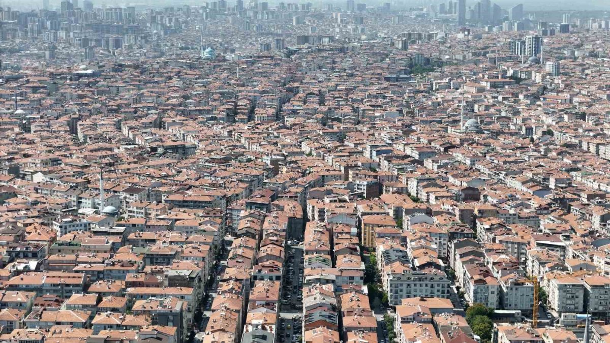 Bu ilçede yaşayanlar ağaca hasret: İstanbul'un yeşil alan fakiri ilçesi belli oldu