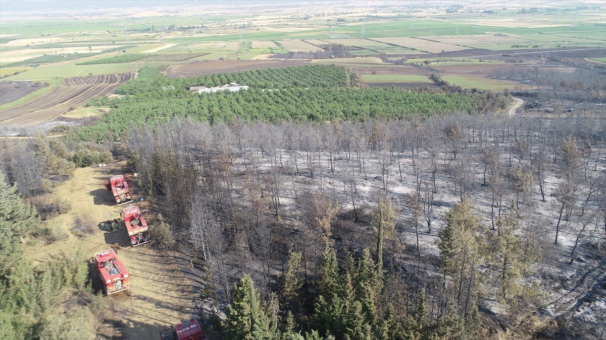 Tekirdağ’dan Çanakkale’ye sıçrayan yangının bilançosu havadan görüntülendi