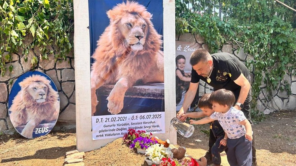 Aslan Zeus’un öldürülmesiyle ilgili suç duyurusu!