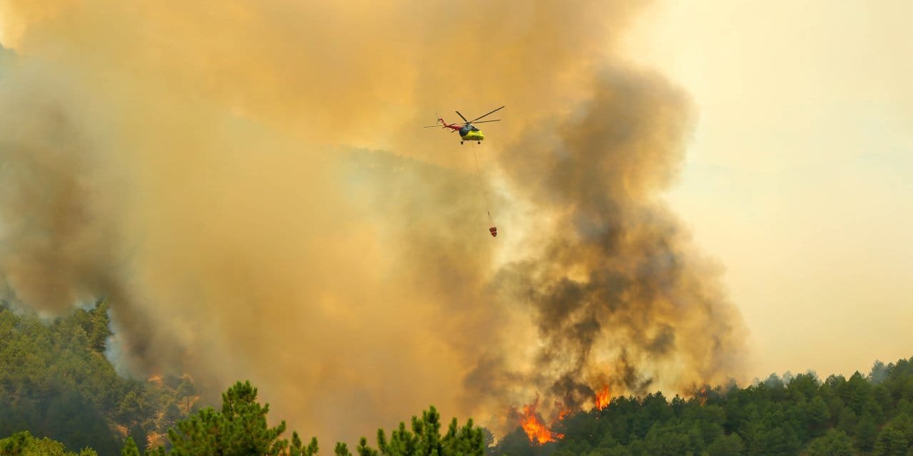 Uşak'ta orman yangını: Ekipler havadan ve karadan müdahale ediyor