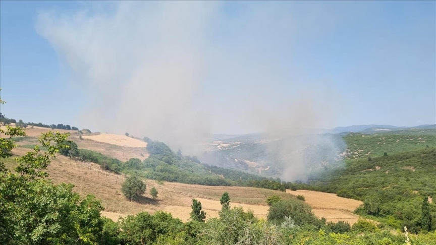 Balıkesir'de orman yangını