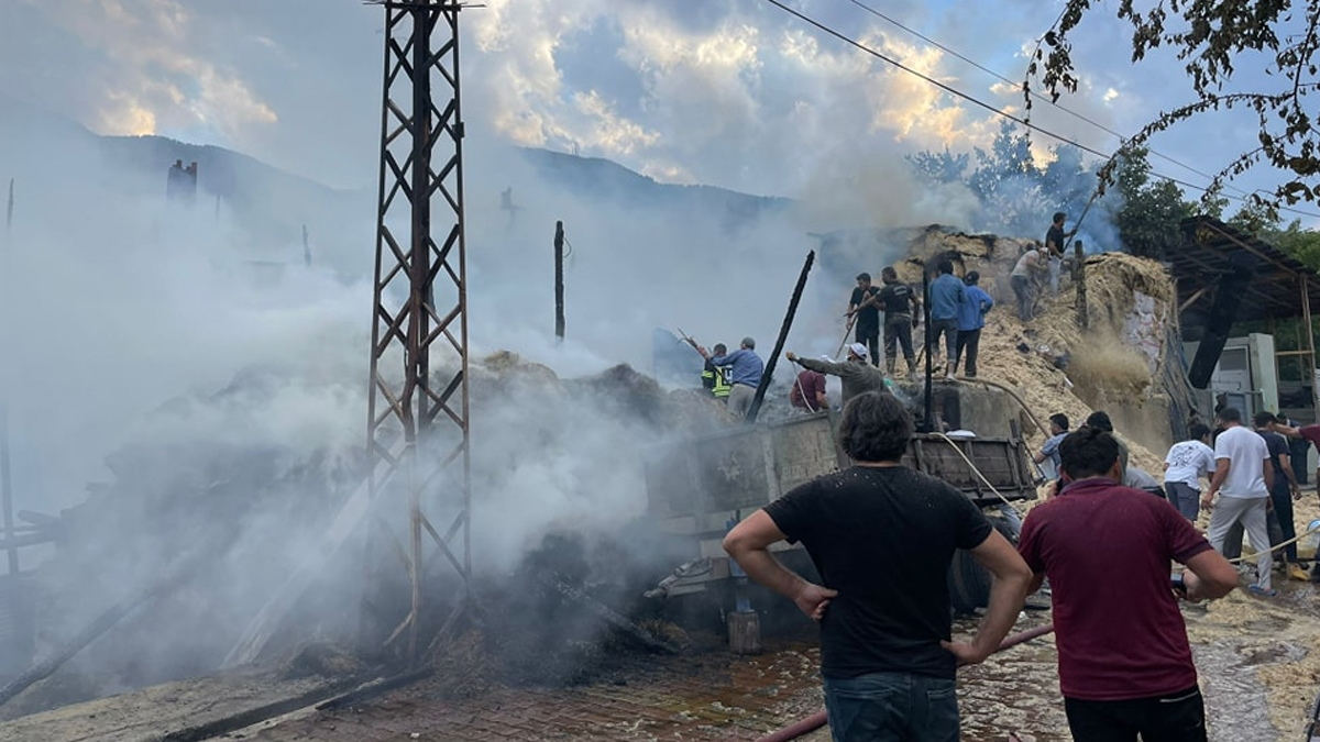 Erzurum'da yangın: Ev, ahır ve samanlık zarar gördü