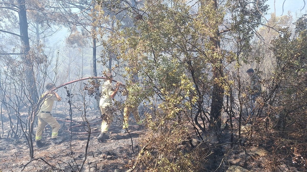 Antalya Kaş’ta orman yangını