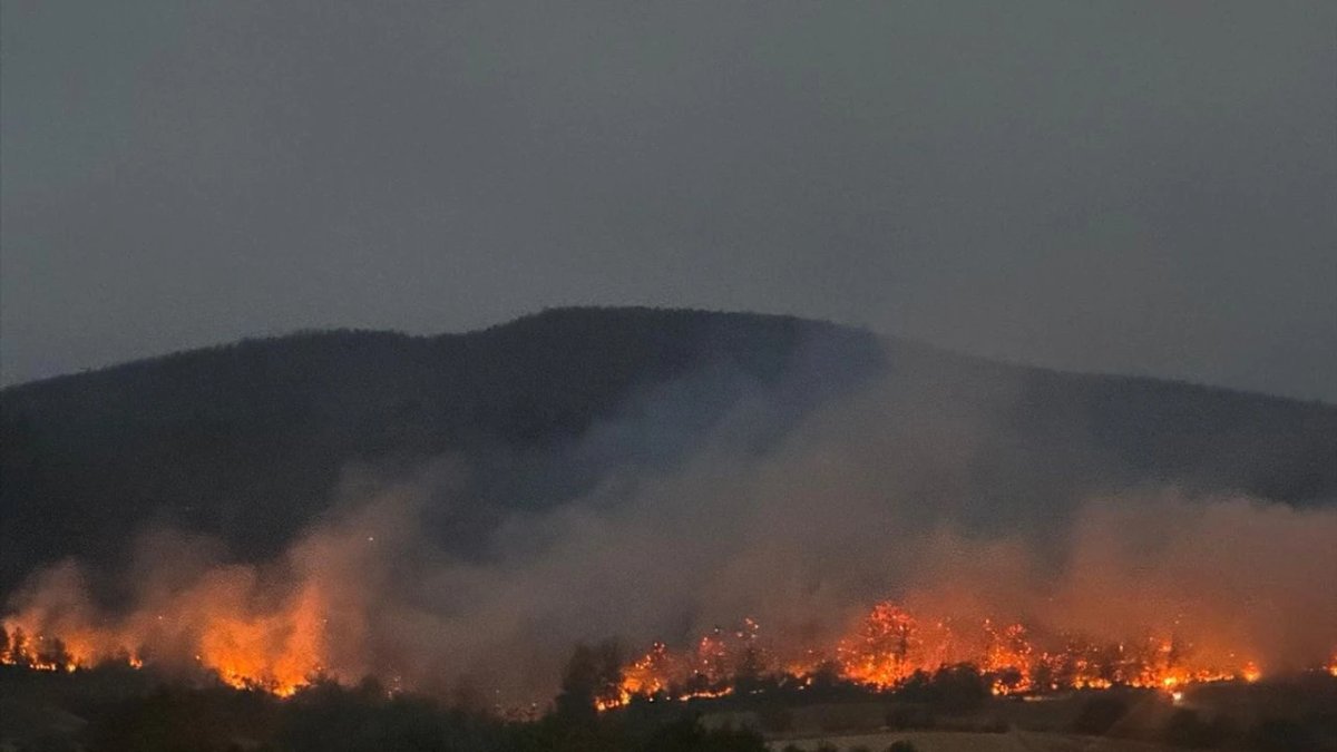 Sakarya'dan Bilecik'e sıçrayan yangın kabusu: 7 köy tahliye edildi