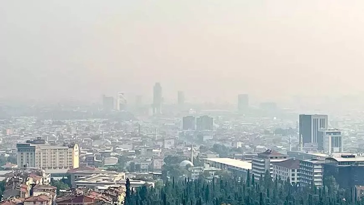 Bilecik'teki yangınının dumanı Bursa'yı kapladı: Yetkilerden açıklama geldi