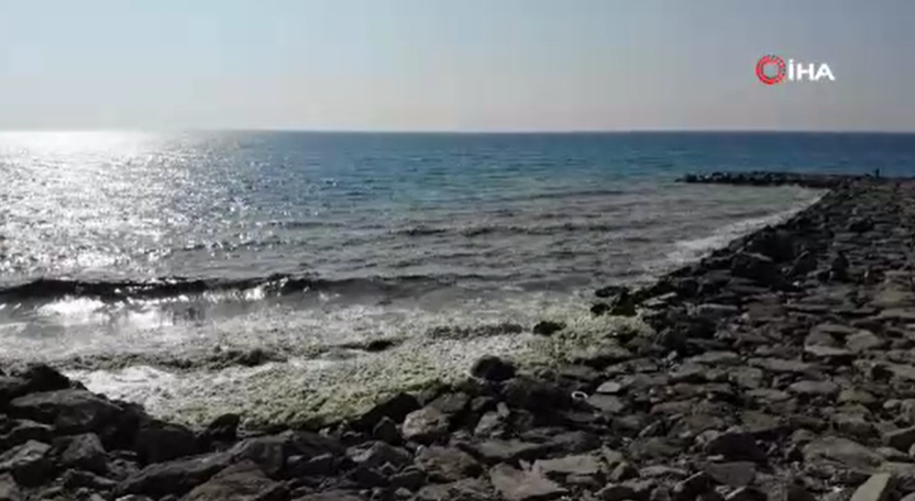 Akdeniz sahilinde korkutan görüntü: Görenler şaşırdı