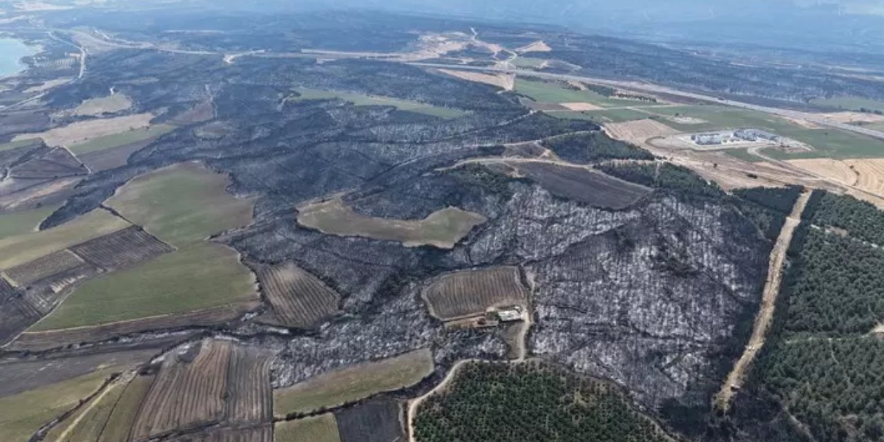 Tekirdağ'dan Çanakkale'ye sıçrayan ve 37 saat süren orman yangını sonrası kahreden manzara! Tam 119 futbol sahası büyüklüğünde..