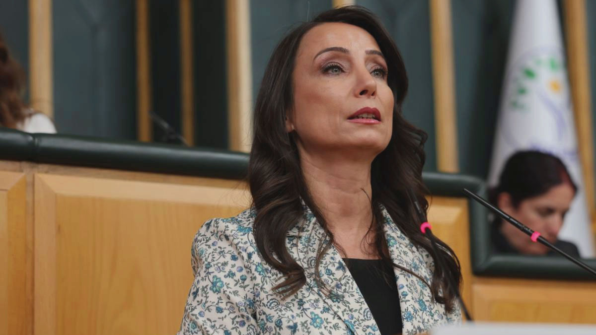 Tele 1’e karartma cezasına Hatimoğulları'ndan tepki: Demokrasi vurgusu