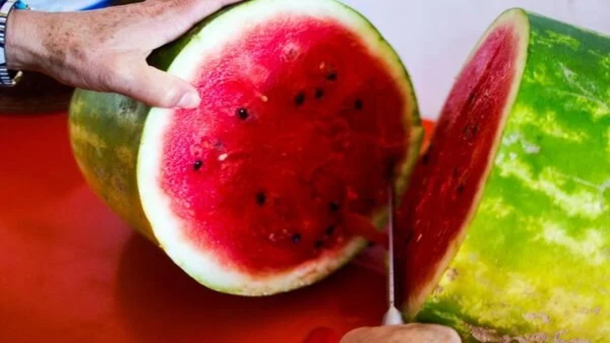 Karpuzdaki “salmonella” riskine dikkat: Uzmanından kritik uyarı
