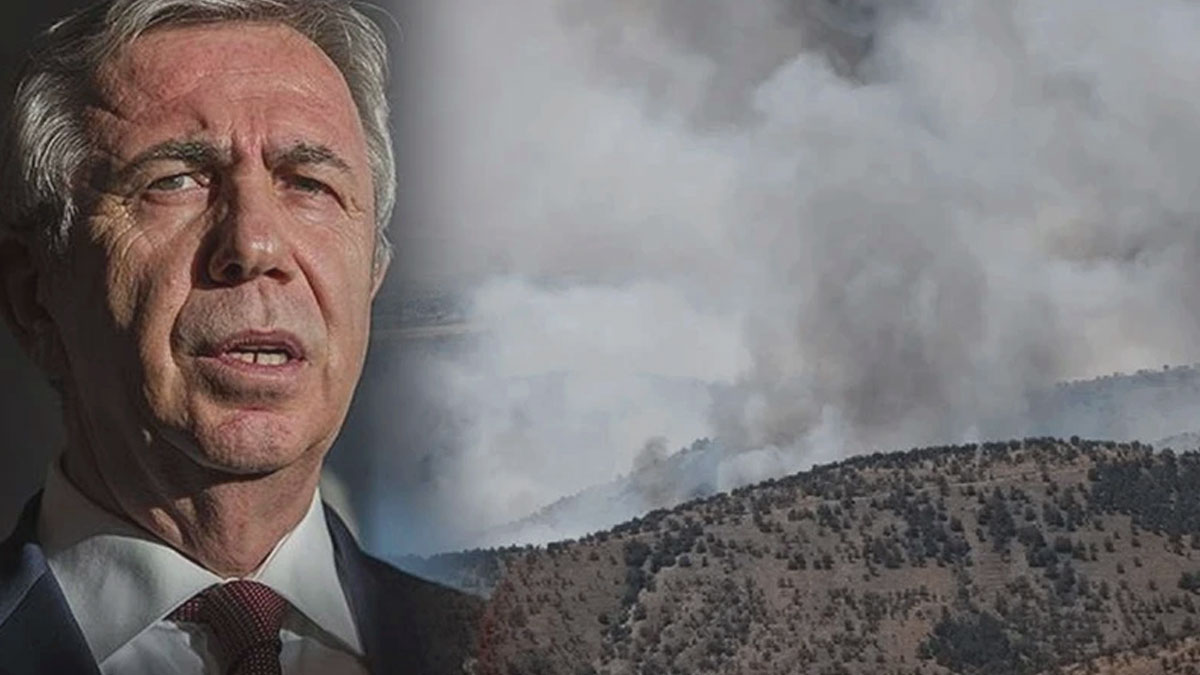 Yavaş açıkladı: Yangın ODTÜ ormanına sıçradı!