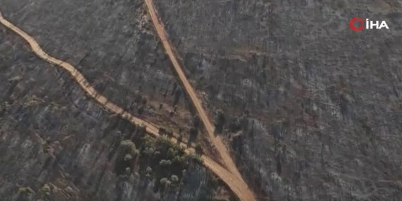 Uşak’ta yangının tahribatı gün ışığıyla ortaya çıktı