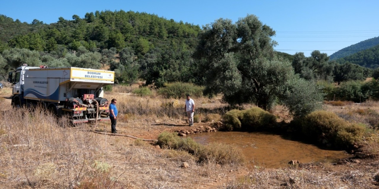 Bodrum’da kuraklıkla mücadele: Göletlere su takviyesi devam ediyor