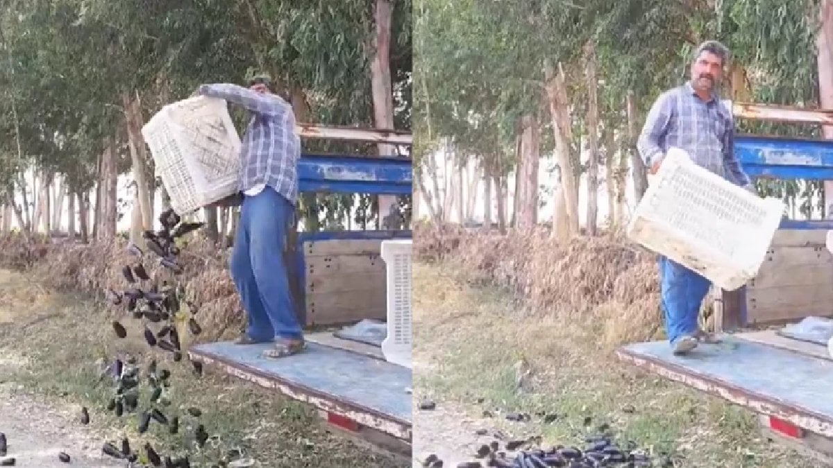 Mersin’de patlıcan dökme olayına büyük ceza