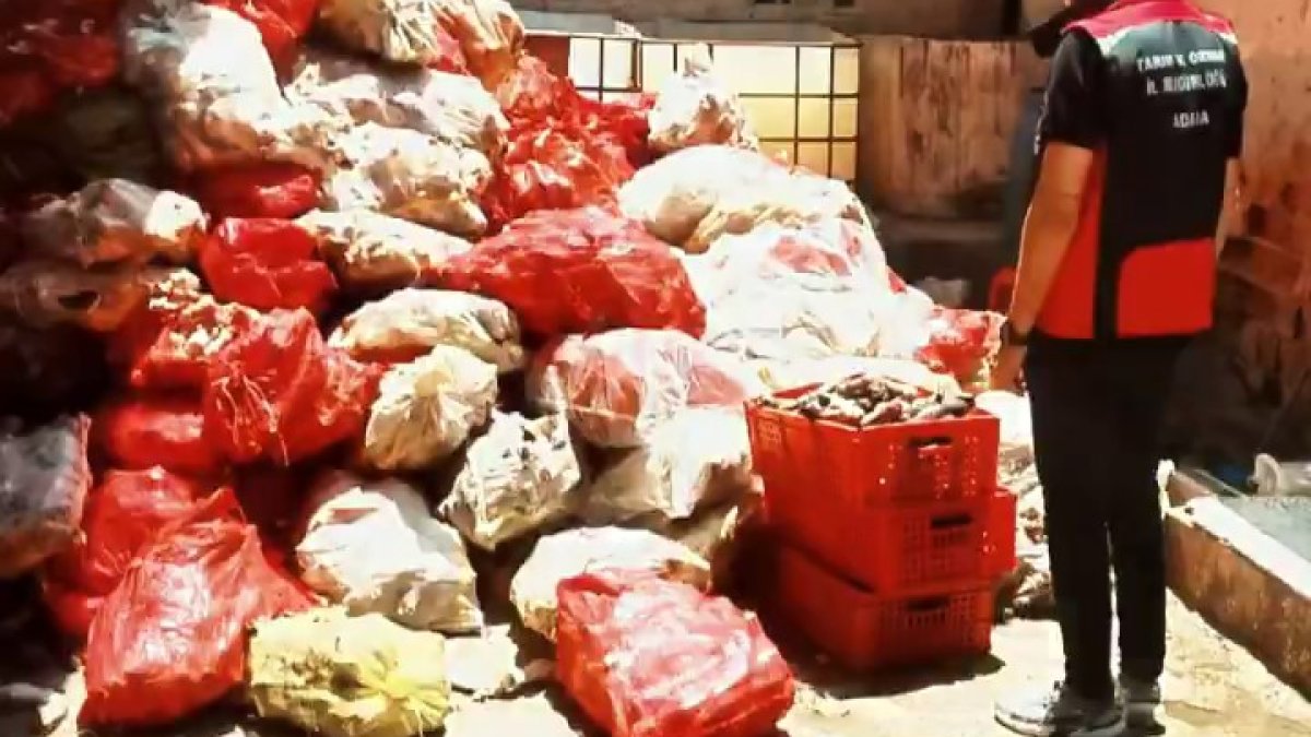 Adana'da mide bulandıran görüntü: Binlerce kilo hayvan ayağı ele geçirildi