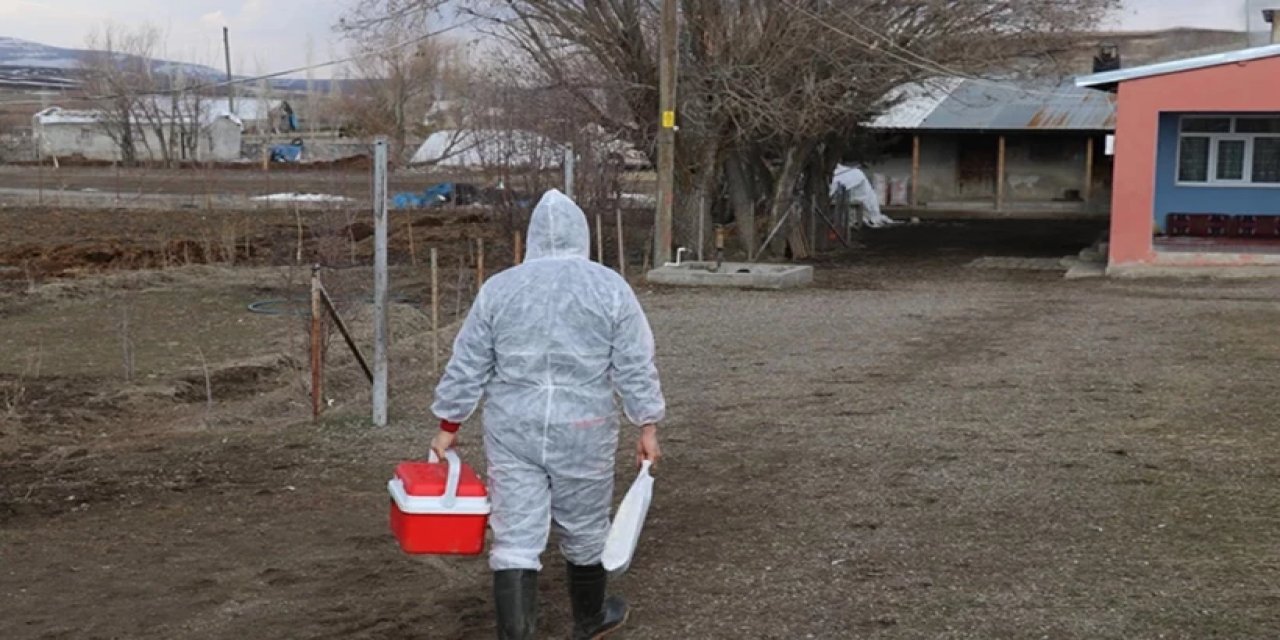 İki ilde başladı hızla yayılıyor! Ekipler alarme geçti