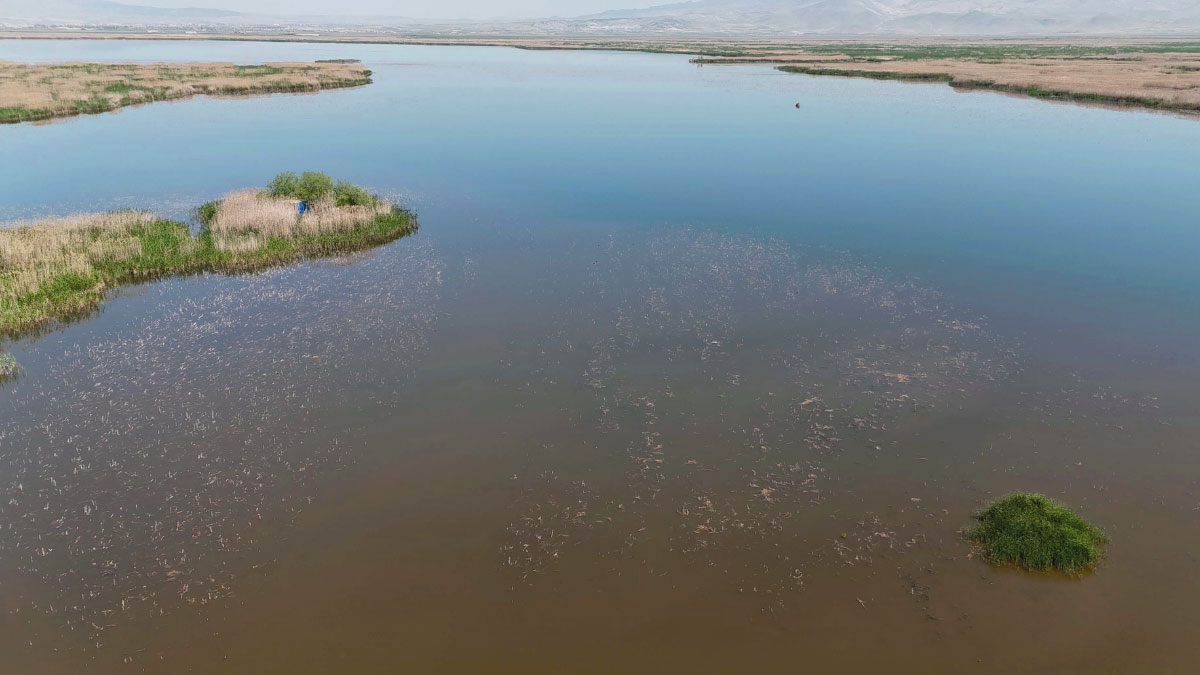 Eber Gölü tamamen kurumanın eşiğinde