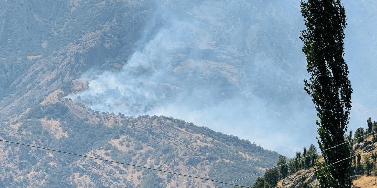 Şırnak'ta orman yangını! 3 saattir yanıyor