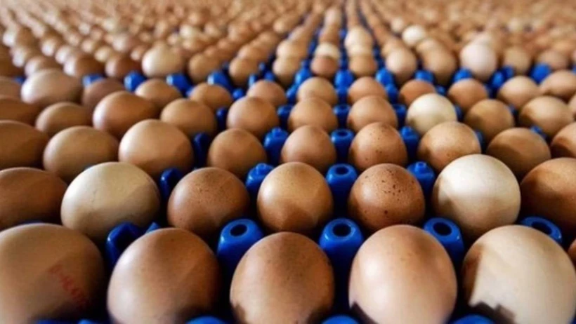 Kahverengi yumurta raflardan kaldırılıyor! İşte sebebi