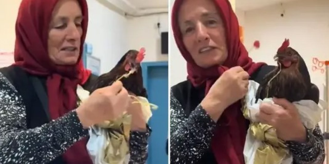 Tavuğuna röntgen çektirmek isteyen kadın, devlet hastanesinden eli boş döndü
