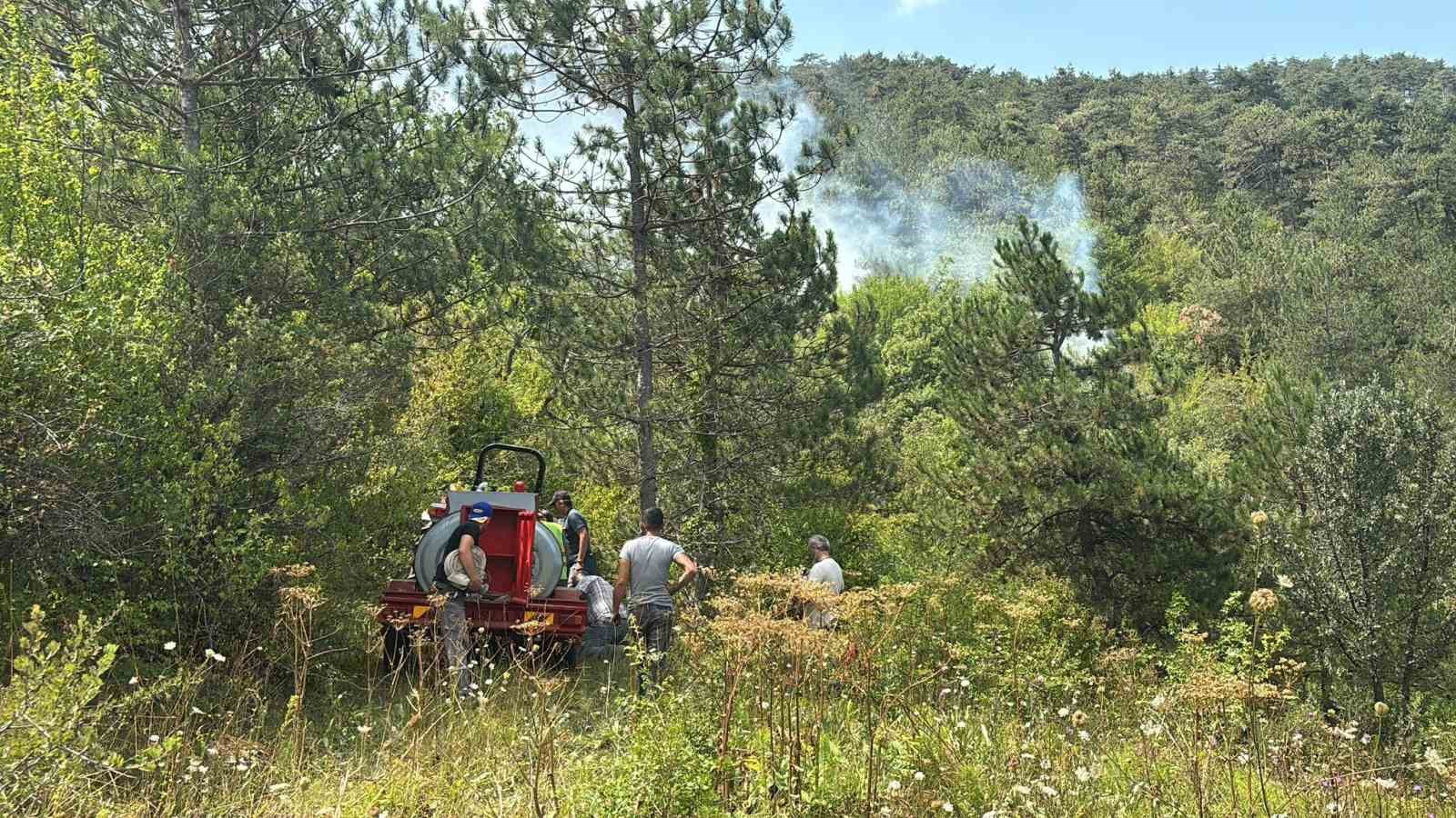 Bolu'da orman yangını