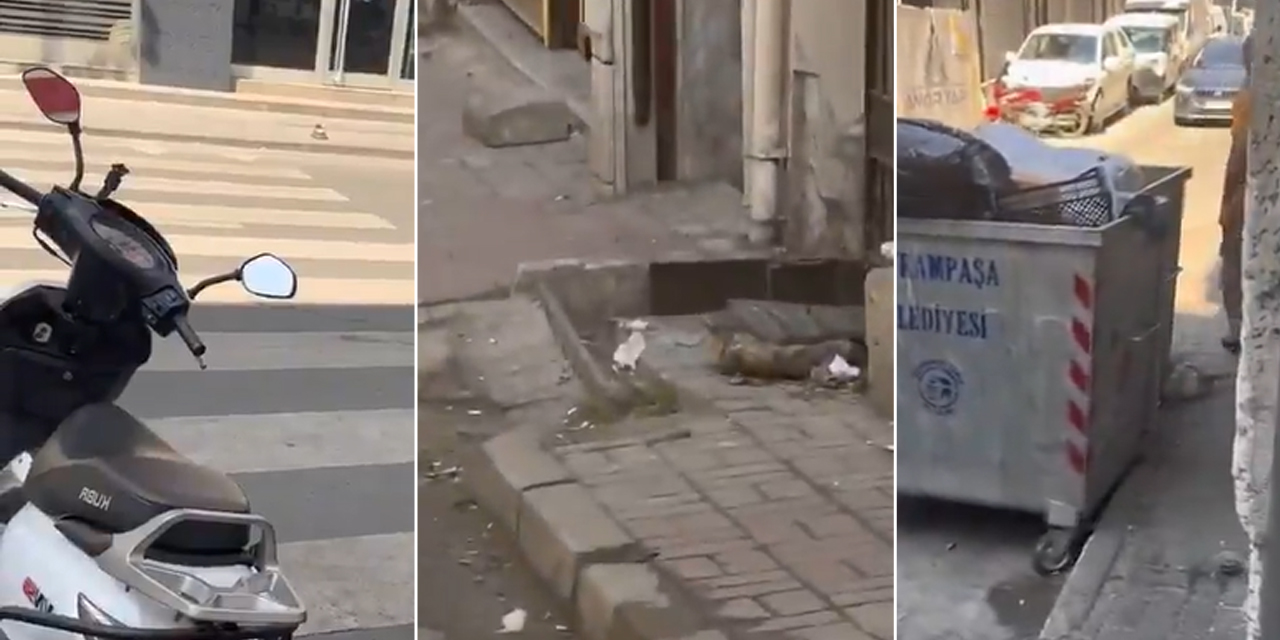 İstanbul’da bebek arabasıyla yürümek işkenceye dönüştü! Kaldırımda araç, geçitte motosiklet, yolda ağaç...