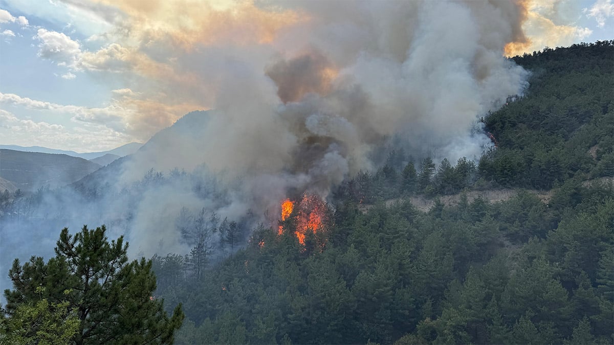 Karabük'te orman yangını