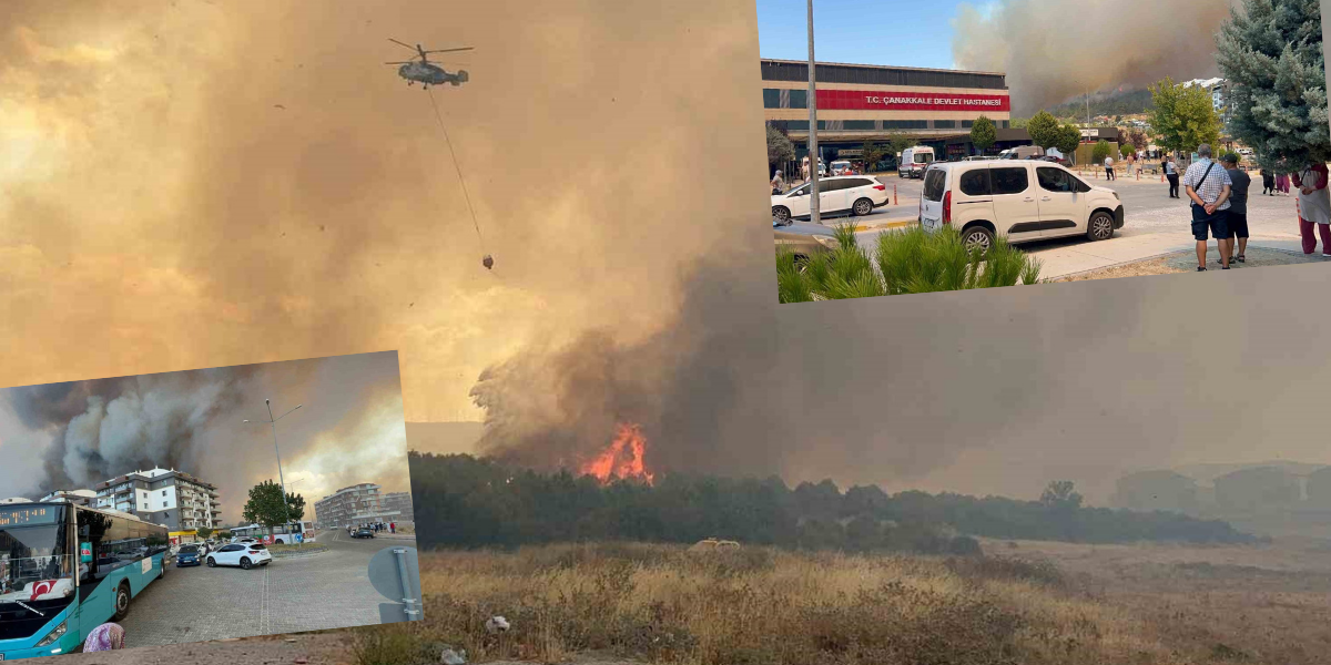 Çanakkale Boğazı trafiğe kapatıldı! Alevler yerleşim yerlerine yaklaştı