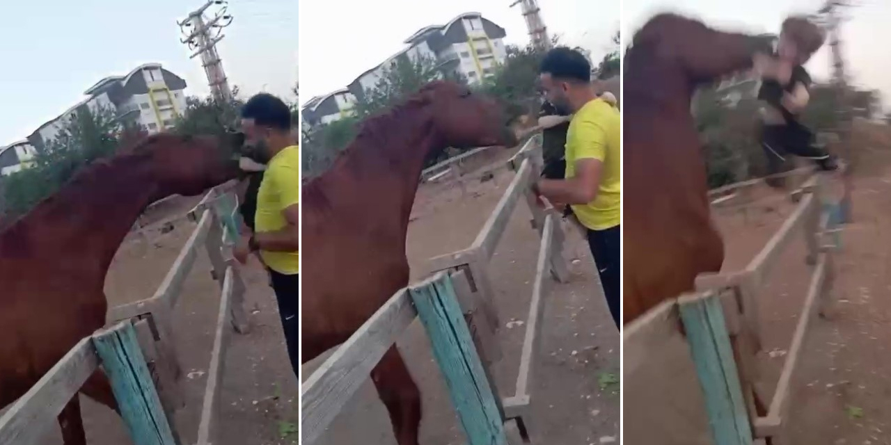 Oyun zannetti, dehşeti yaşadı! At, babasının kucağındaki 3 yaşındaki çocuğu ısırarak havaya fırlattı