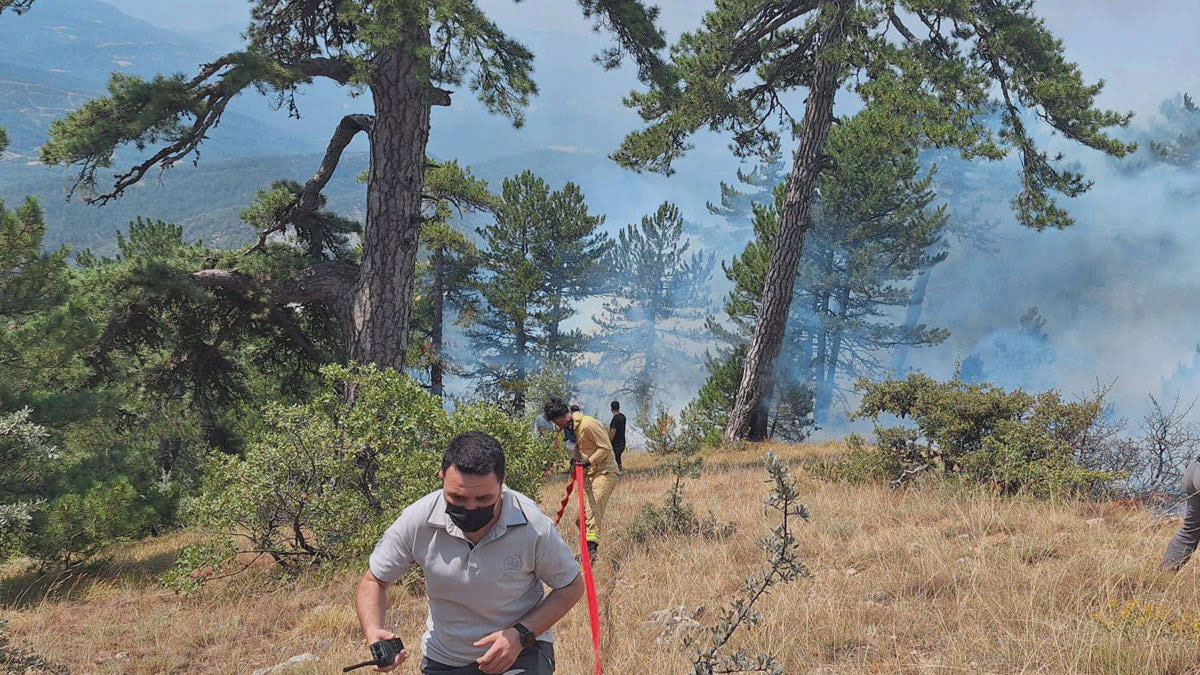 Bolu'daki orman yangını söndürüldü