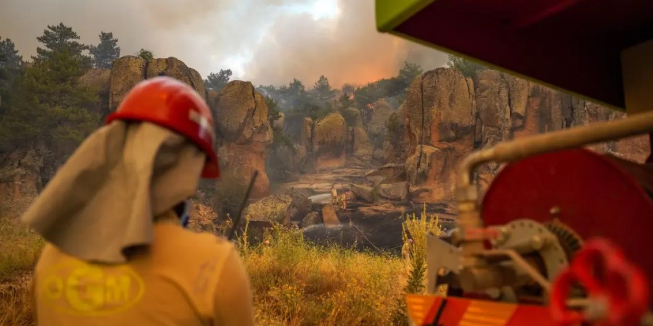Kozalak patlaması şehir efsanesi çıktı! Orman yangınlarının asıl yayılma sebebi...