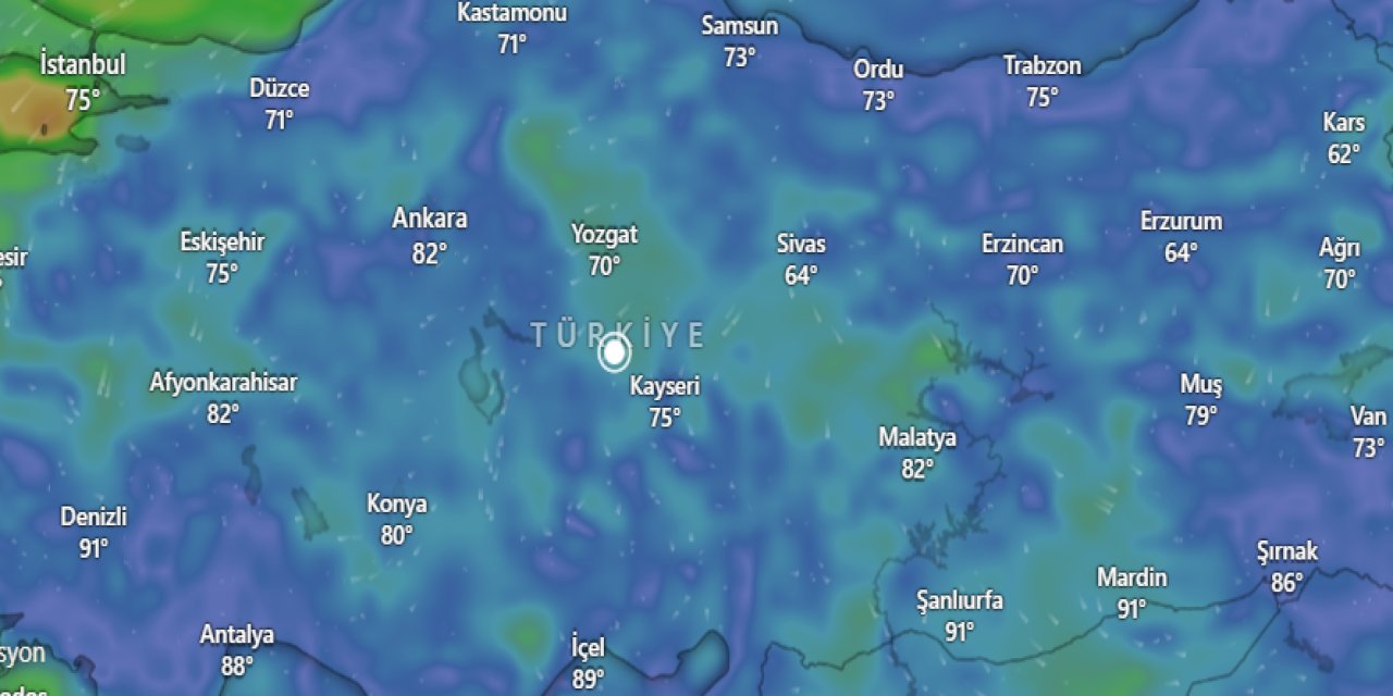 Prof. Dr. Orhan Şen müjdeyi açıkladı: Yolda geliyor