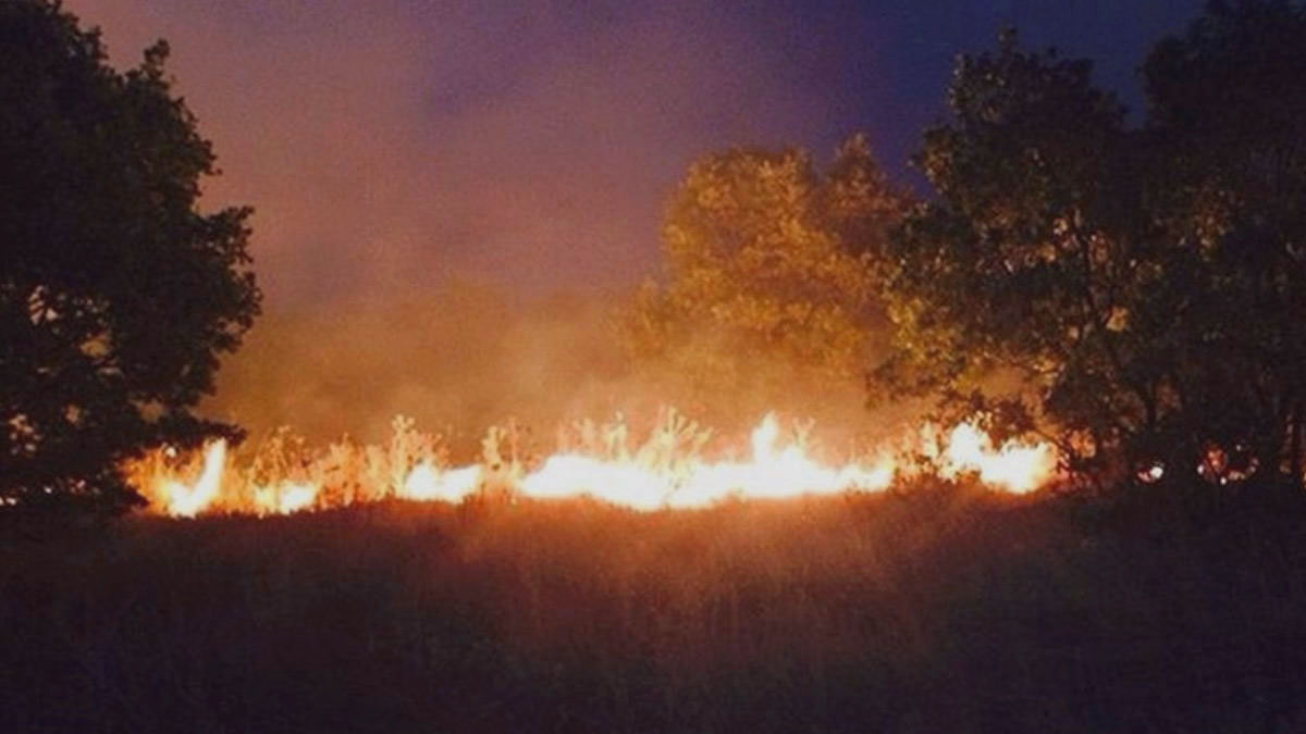 Diyarbakır'da ormanlık alanda yangın