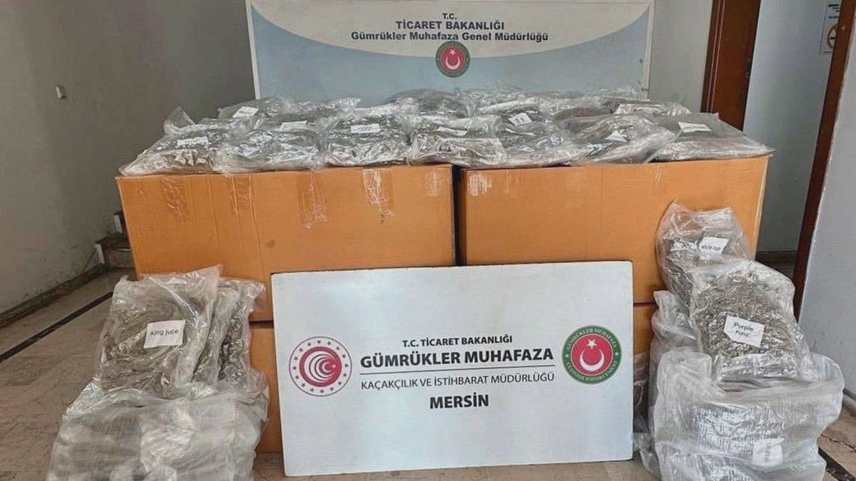 Mersin Limanı'ndaki konteynerde 587 kilogram esrar ele geçirildi