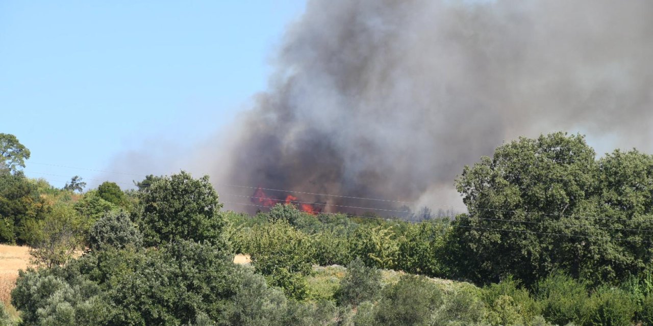 Çanakkale yeniden alevlere teslim oldu! Orman yangınına havadan ve karadan müdahale sürüyor