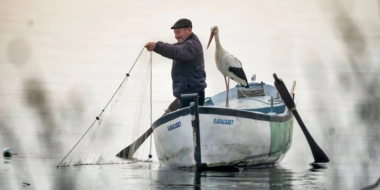 Yaren Leylek Balıkesir depremini saniyeler önce hissetti! Panikle yuvasından kalktığı anlar kamerada