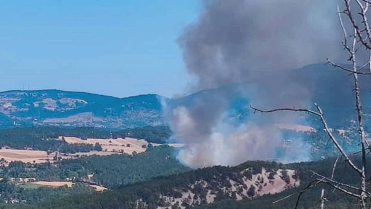 Bolu'da orman yangını