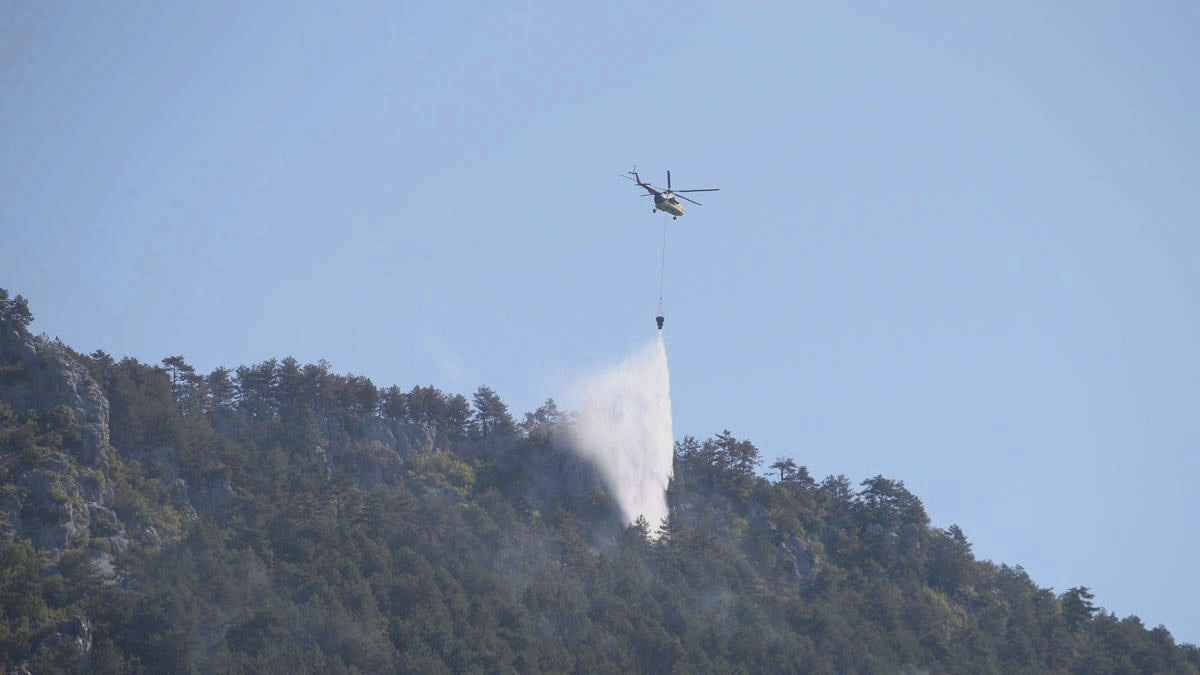 Sinop'taki orman yangını kontrol altına alındı