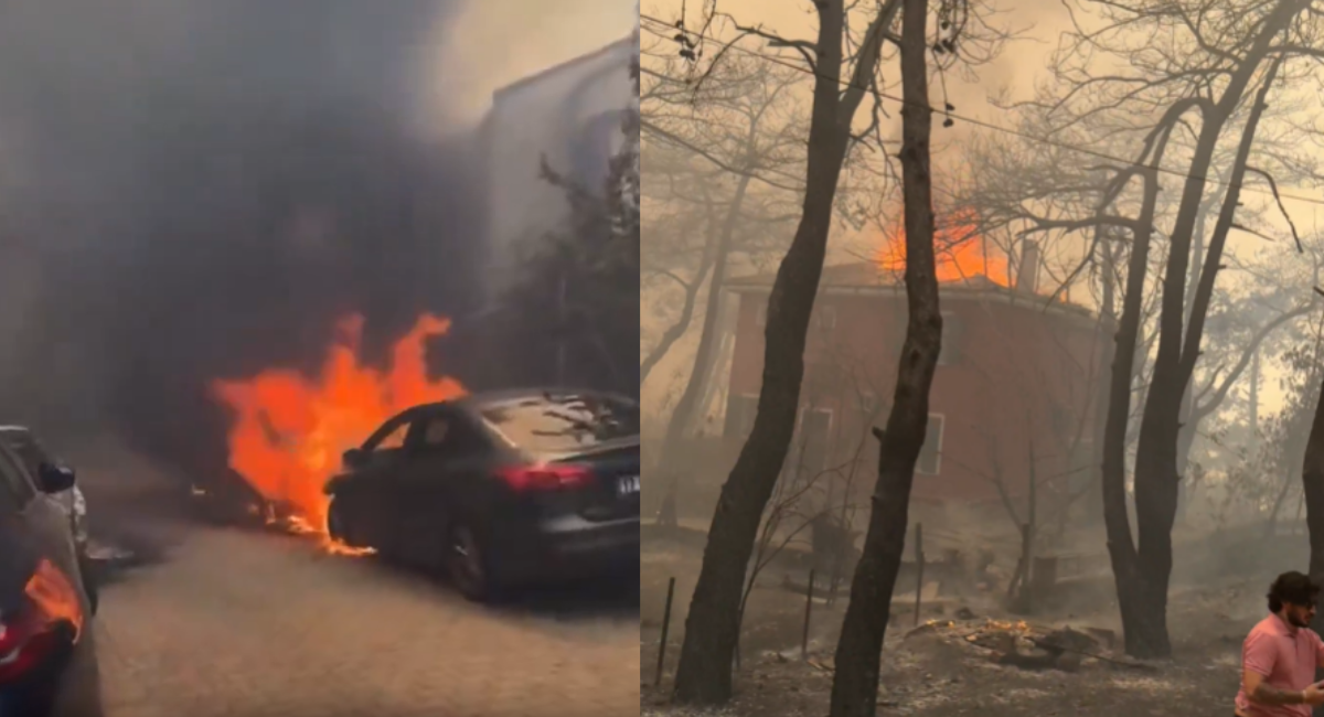 Çanakkale yangınında yürek yakan görüntüler: Hepsi küle döndü