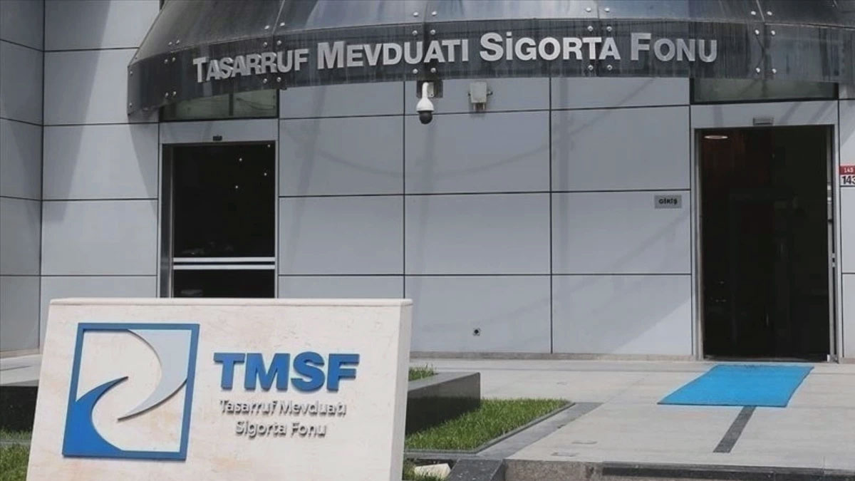 TMSF bir şirketi daha satışa çıkardı
