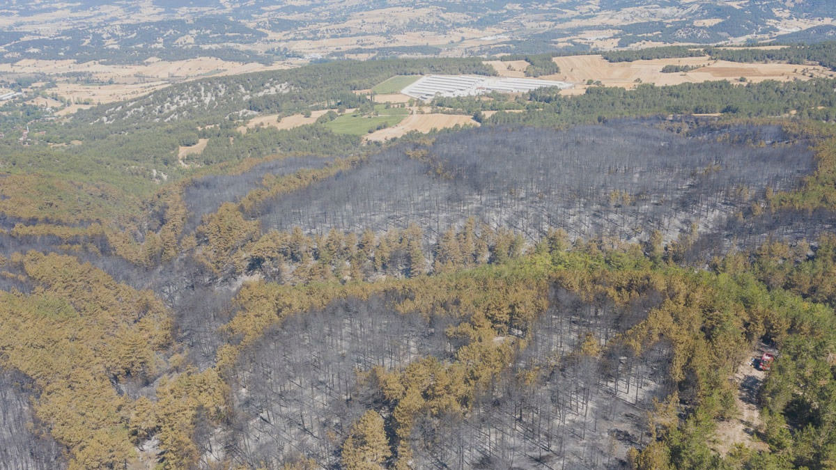 Bolu’yu yakan gerçek ortaya çıktı