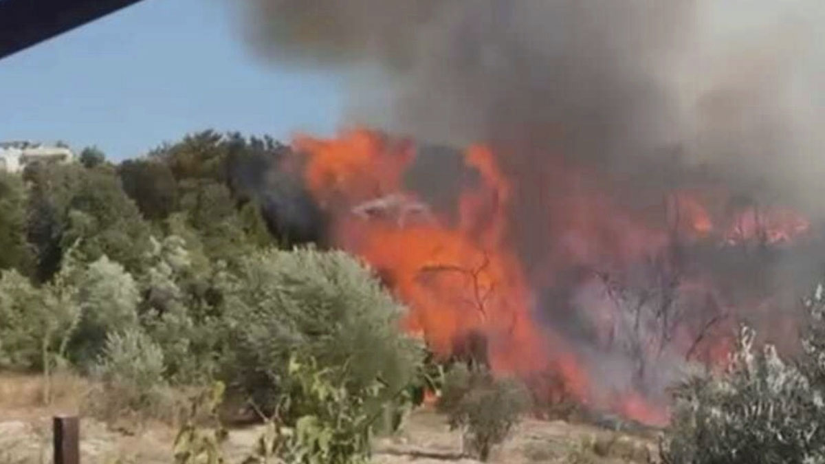 Osmaniye'de orman yangını