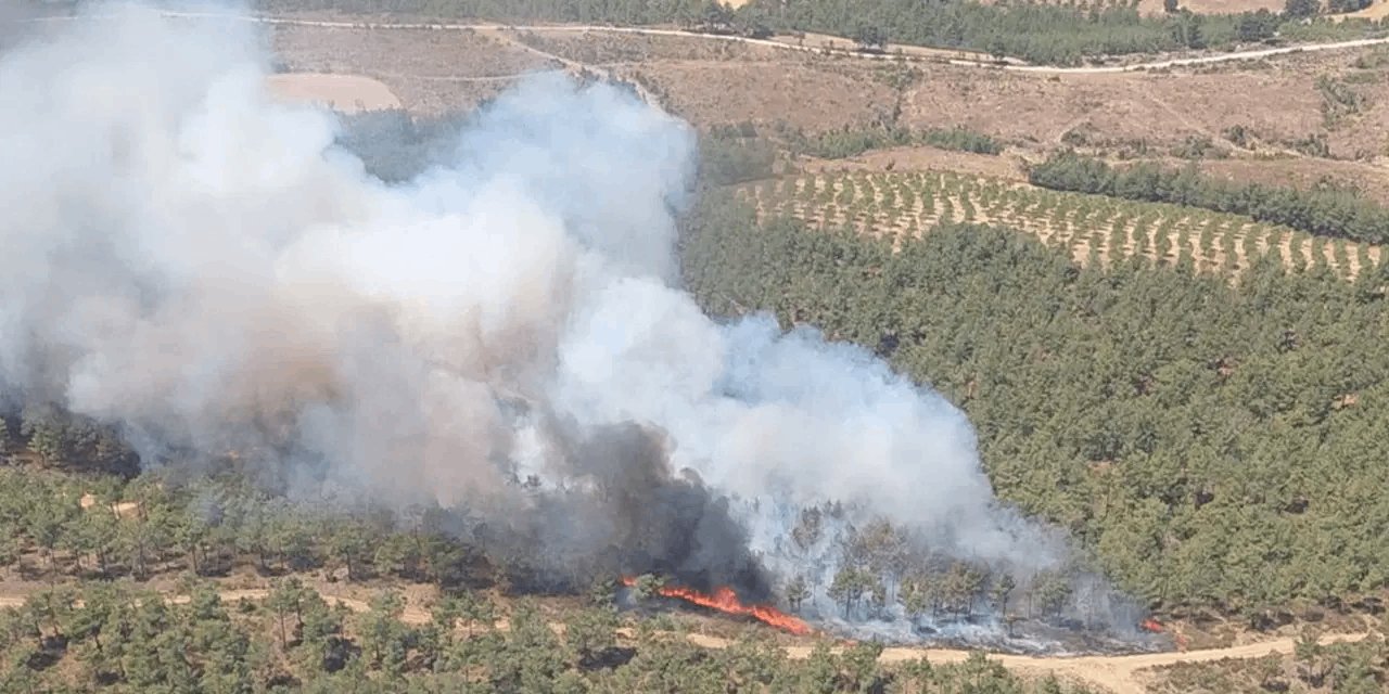 Çanakkale tekrar yanıyor! Kazdağları tehlikede