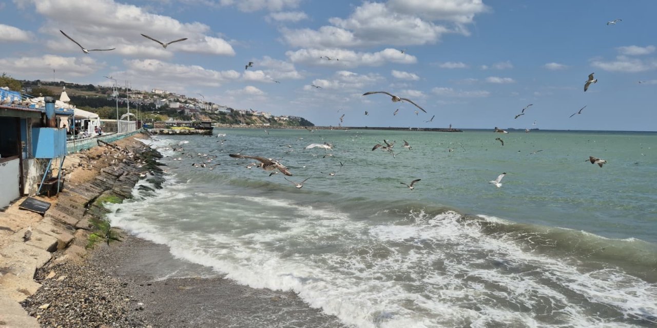 Marmara’da fırtına alarmı! Tekirdağ açıklarında deniz trafiği durdu