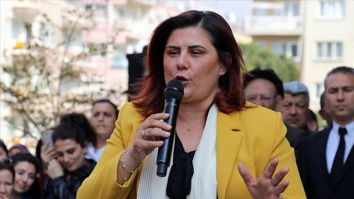 ‘Topuklu Efe’ lakaplı Özlem Çerçioğlu kimdir?